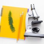 Old Notes, New Themes: Auditing Your Biology SL Resources