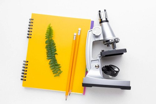 Old Notes, New Themes: Auditing Your Biology SL Resources